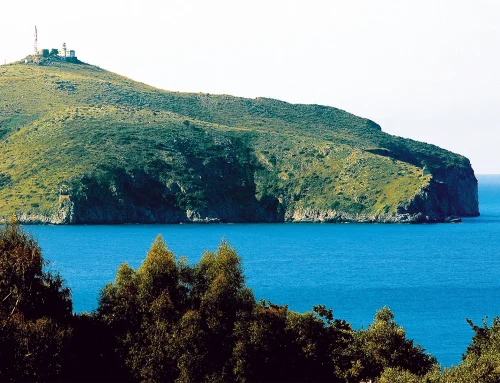 Palinuro